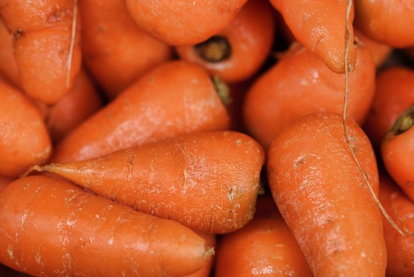 a close up of carrots