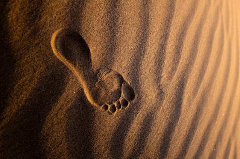 The Road to Pain-Free Feet: Preventing Common Foot Problems