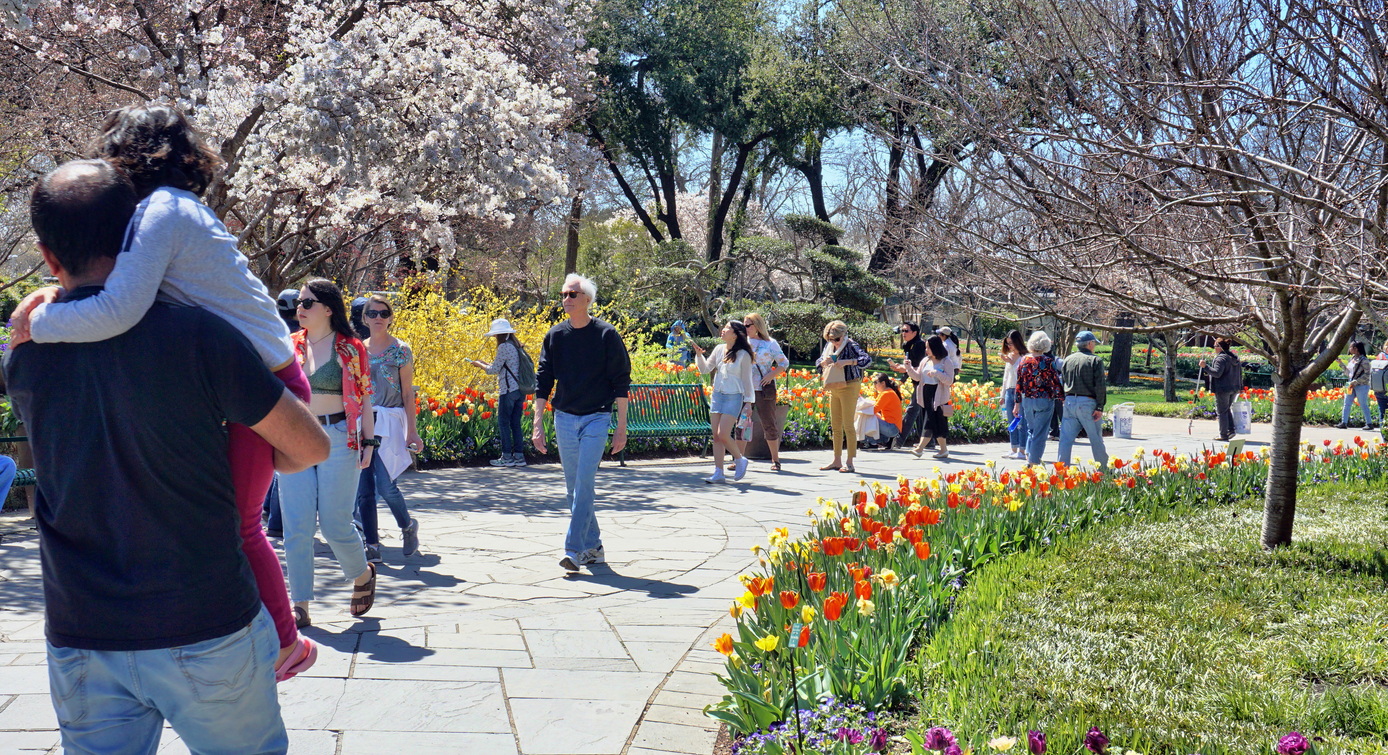 people walking in Dallas Arboretum Garden in Dallas, Texas
